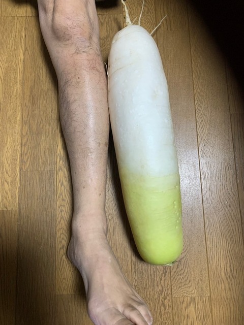 1739766244618.jpg